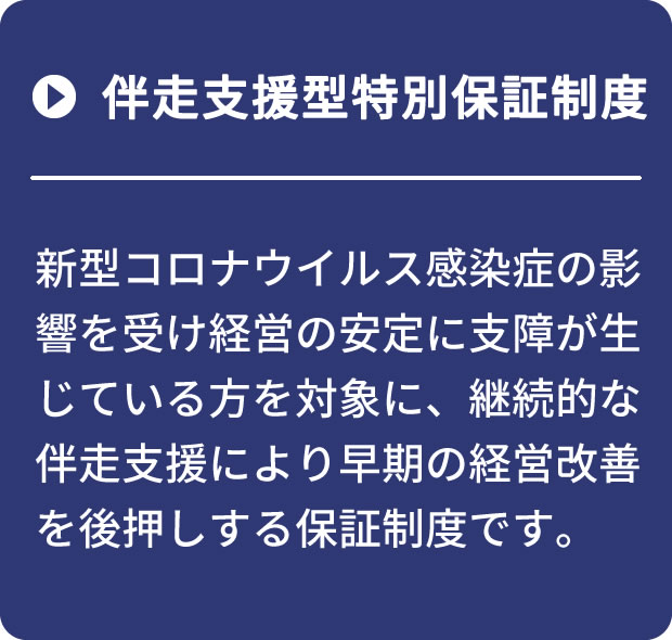 伴走支援型特別保証制度